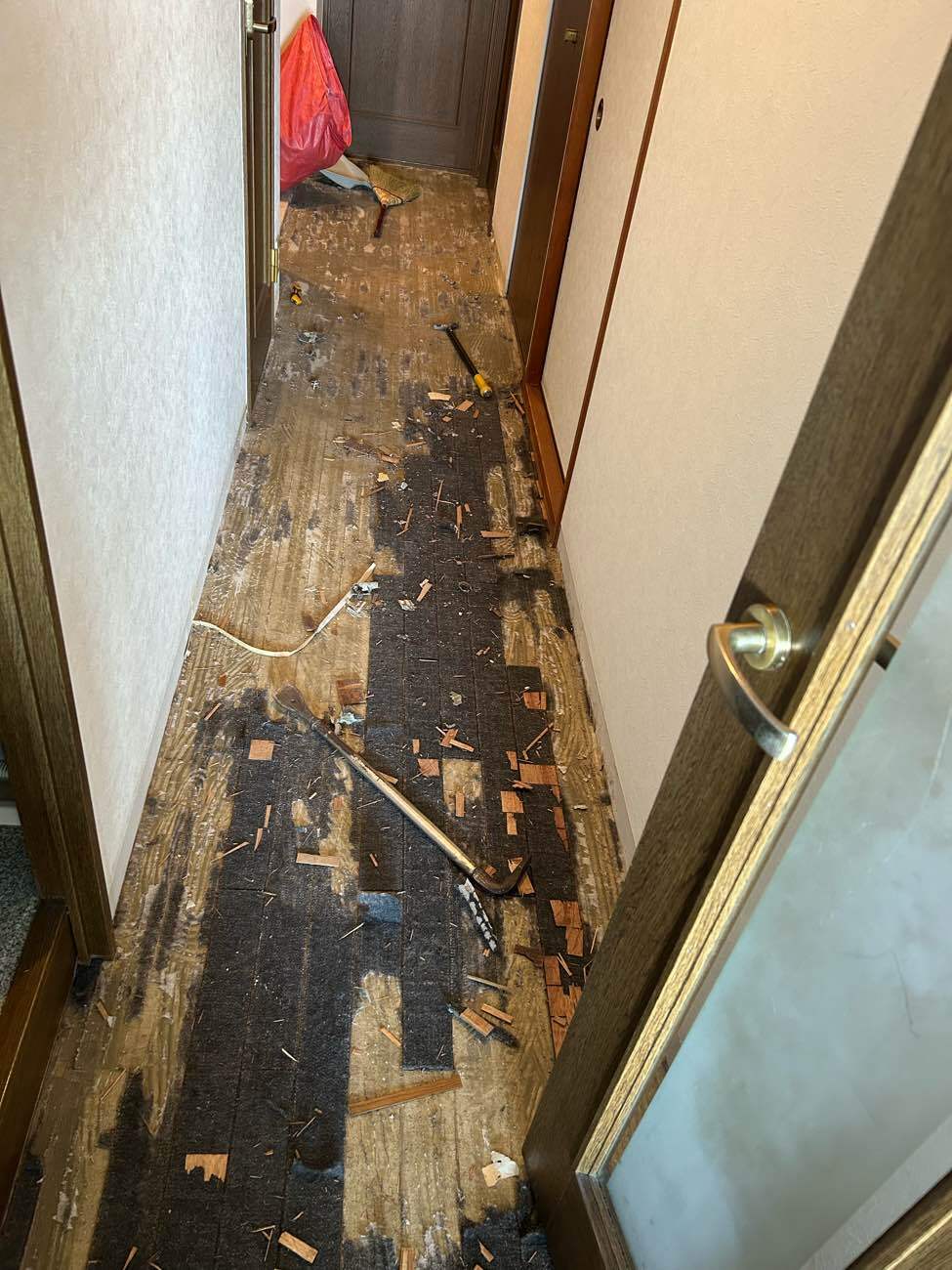 担当者・お客様の声 サムネイル